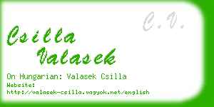 csilla valasek business card